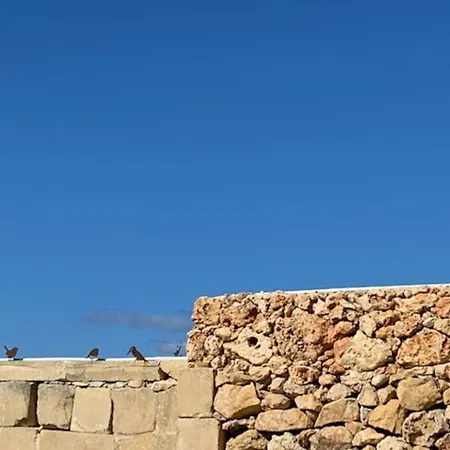 Vilă Dar Dragun: Luxury 3br Bright Spacious House & Pool *