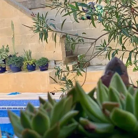 Dar Dragun: Luxury 3br Bright Spacious House & Pool Vilă *