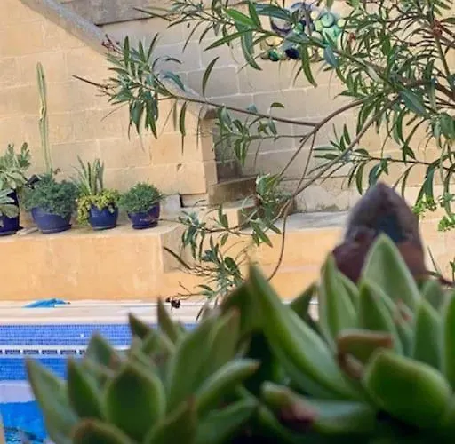 Dar Dragun: Luxury 3br Bright Spacious House & Pool Βίλα *