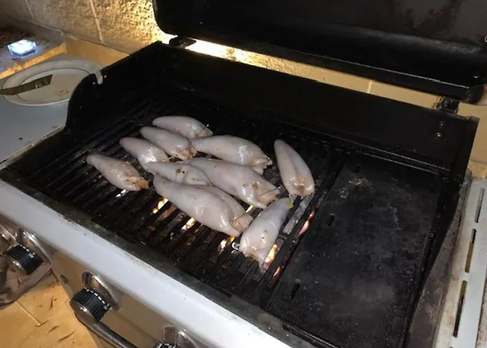 Dar Dragun: Luxury 3br Bright Spacious House & Pool